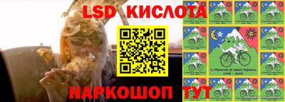 прущие грибы Будённовск
