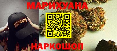 прущие грибы Будённовск