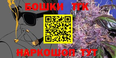 прущие грибы Будённовск