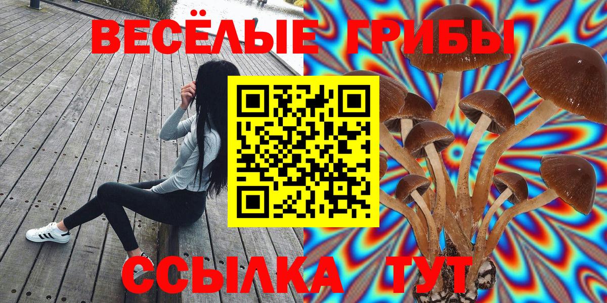 Галлюциногенные грибы мухоморы Петропавловск-Камчатский