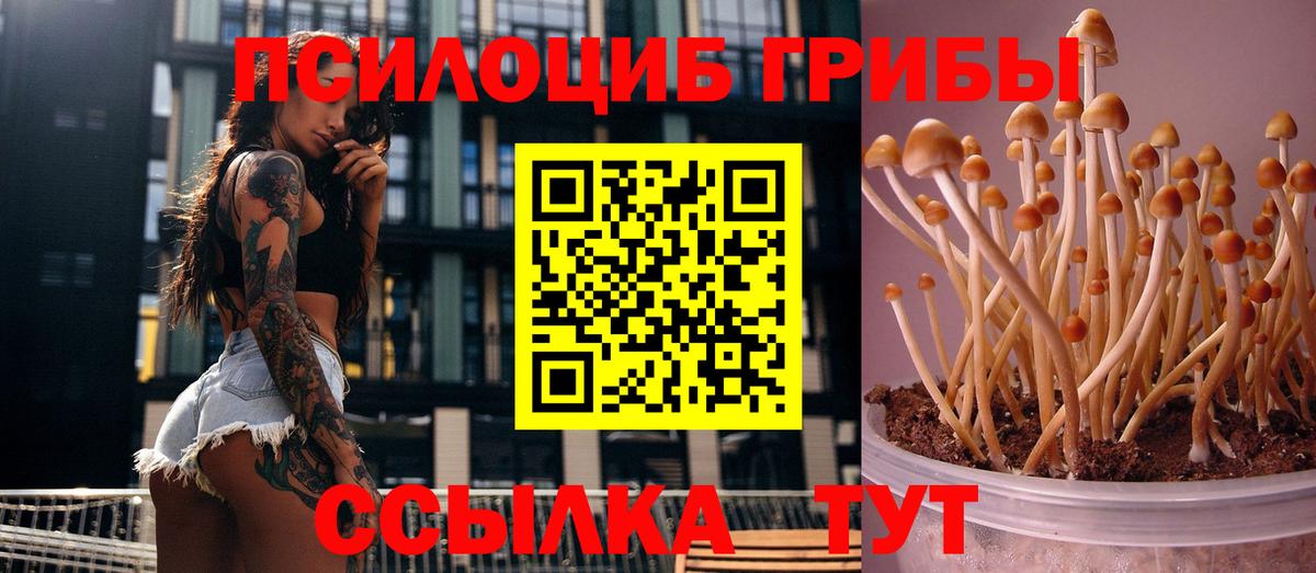 Псилоцибиновые грибы Psilocybine cubensis  Псилоцибиновые грибы мицелий  Петропавловск-Камчатский  Вход с VPN 